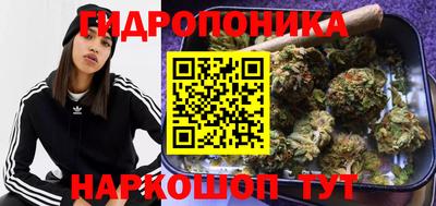 mdma Канаш