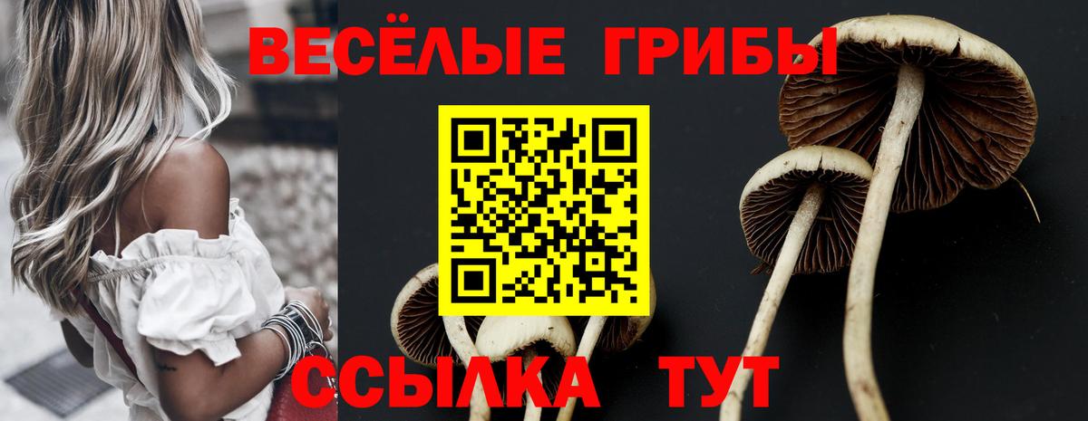 Кудымкар  Псилоцибиновые грибы прущие грибы  Вход с VPN 