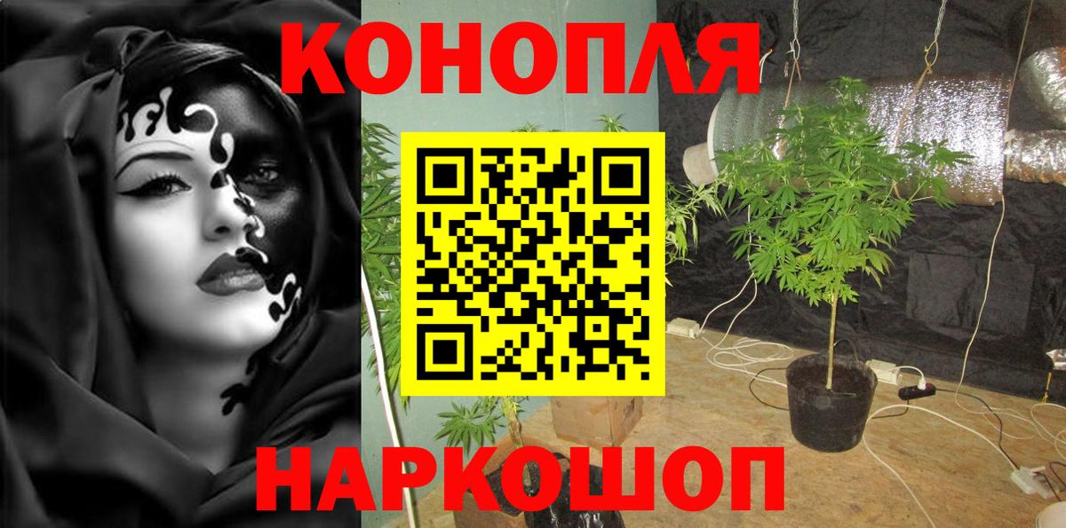 Бошки Шишки Bruce Banner Кудымкар
